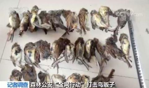 星空综合-云南消防开展夏季安全检查