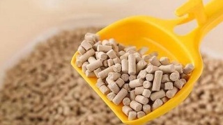 《狐妖小红娘》动画千颜篇主题曲发布 旋律虐心而震撼‘星空综合’(图3) 星空综合