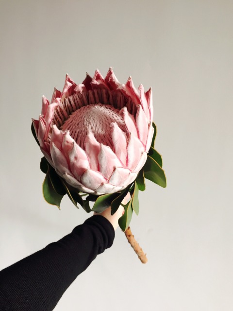 【星空·综合体育】沧滩社区:“两学一做”学习教育常态化(图2) 星空·综合体育