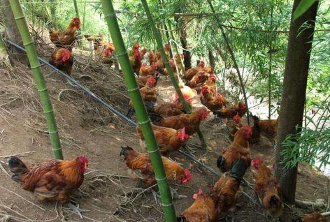 星空·综合体育