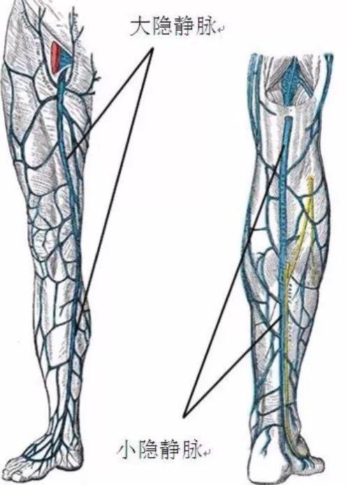 星空·综合体育