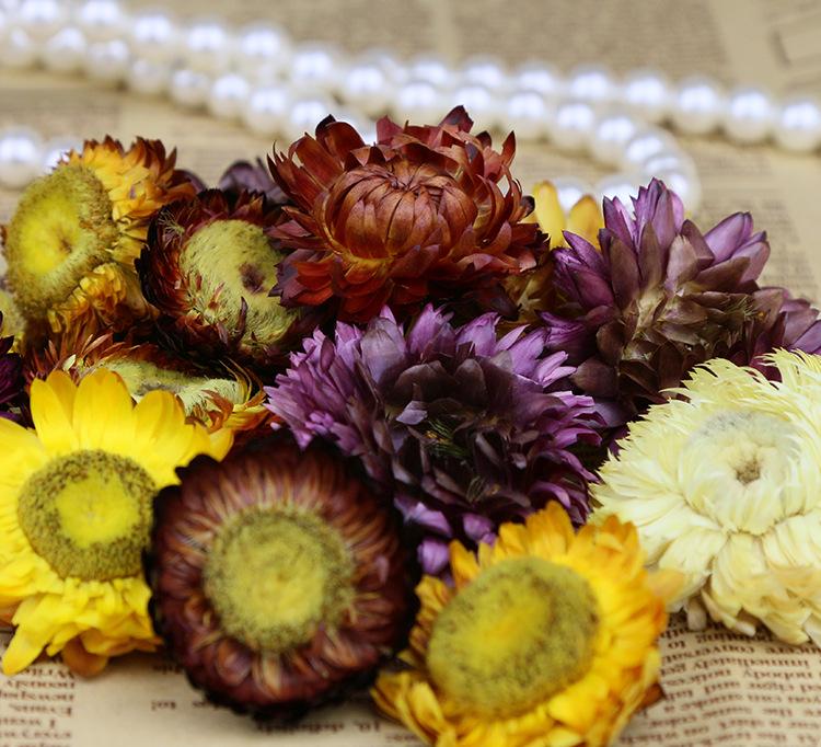 星空·综合体育|珠、澳两地进入“蒸笼天”(图)(图2) 星空·综合体育