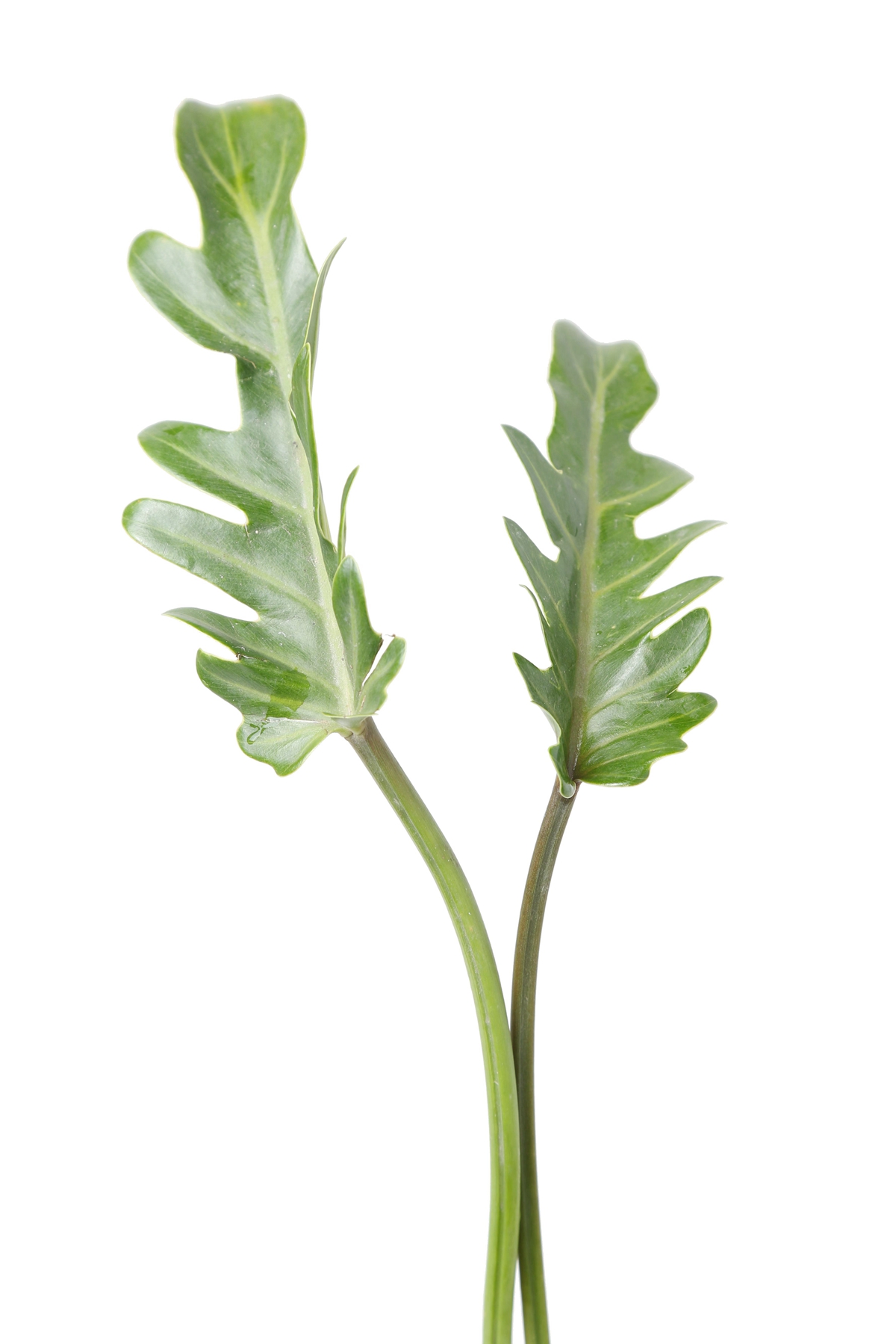 星空·综合体育