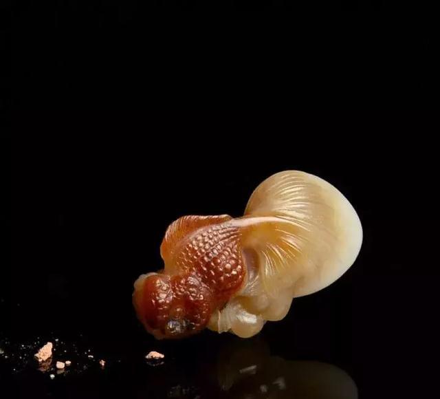 星空·综合体育