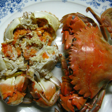 星空·综合体育