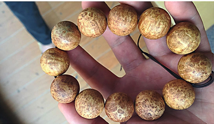 星空·综合体育