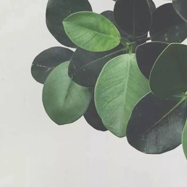 星空·综合体育