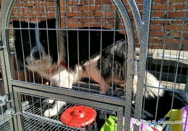 “星空·综合体育”说谁呢?前国脚开炮:四川足球耻辱柱有你俩一席之地(图1) 星空综合