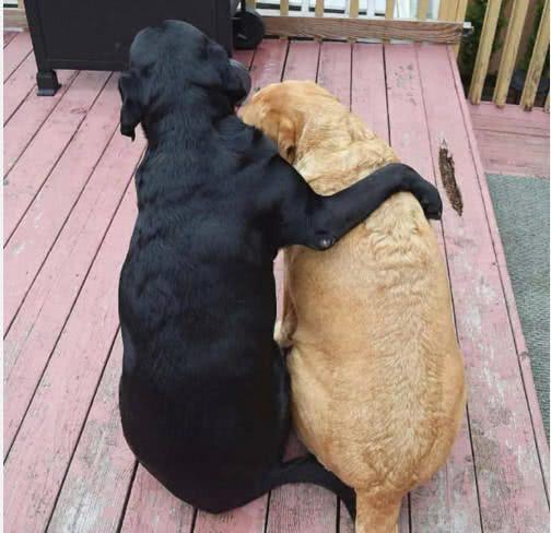 “星空·综合体育”首回合元勋再立功!人和2-3联盛到悬崖边,2名国际级裁判执法(图2) 星空·综合体育