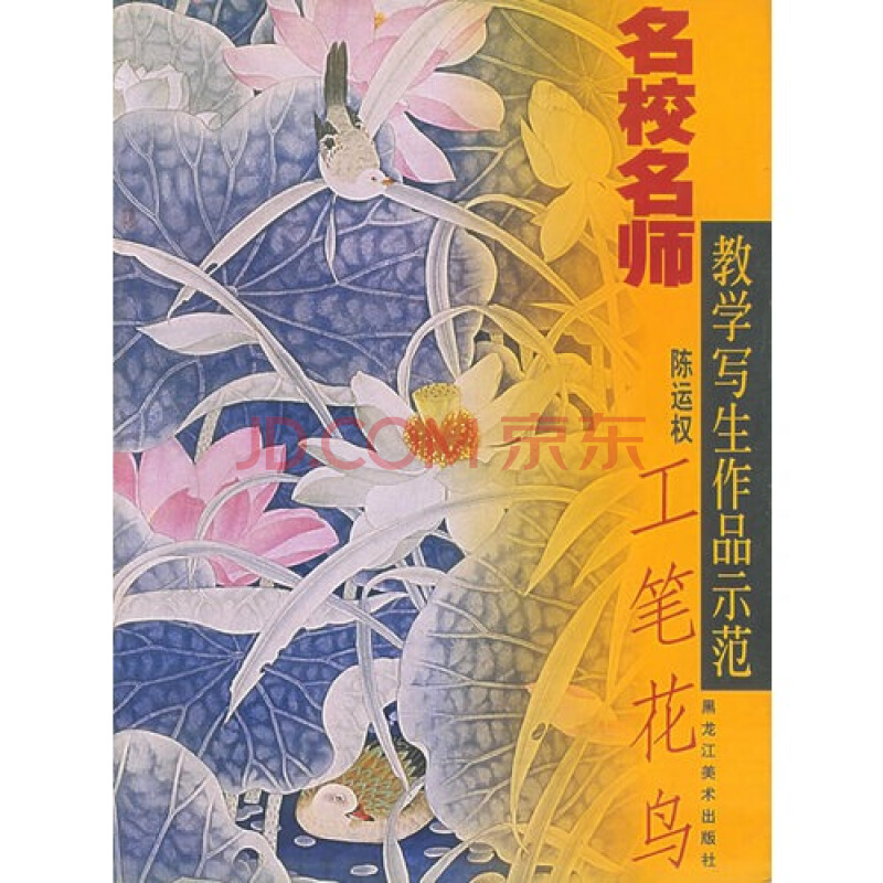 《游戏王》新动画将于5月开播 追加新角色:星空综合(图2) 星空综合