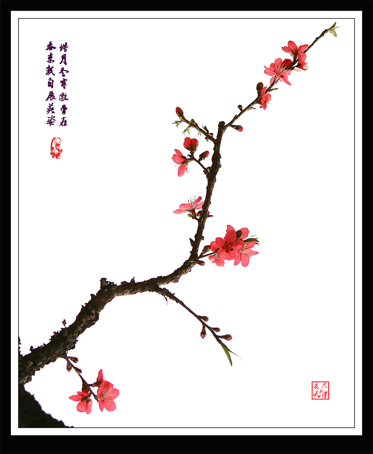 康安路38幢旁的山石发生了崩塌-星空综合(图1) 星空综合