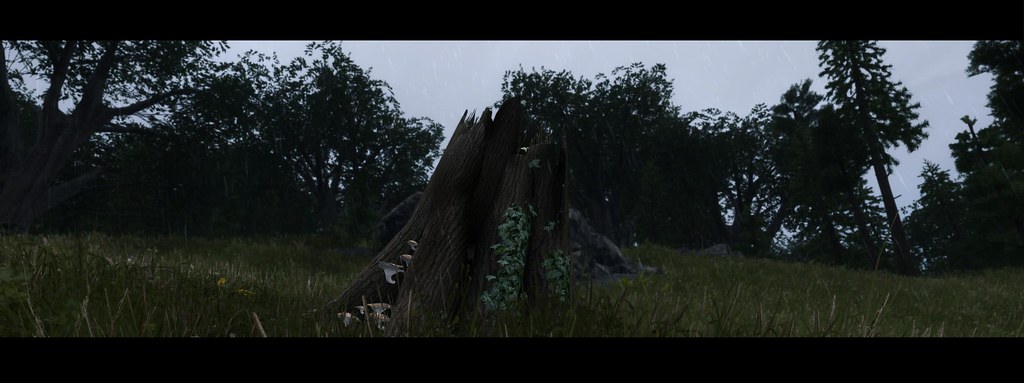 星空·综合体育