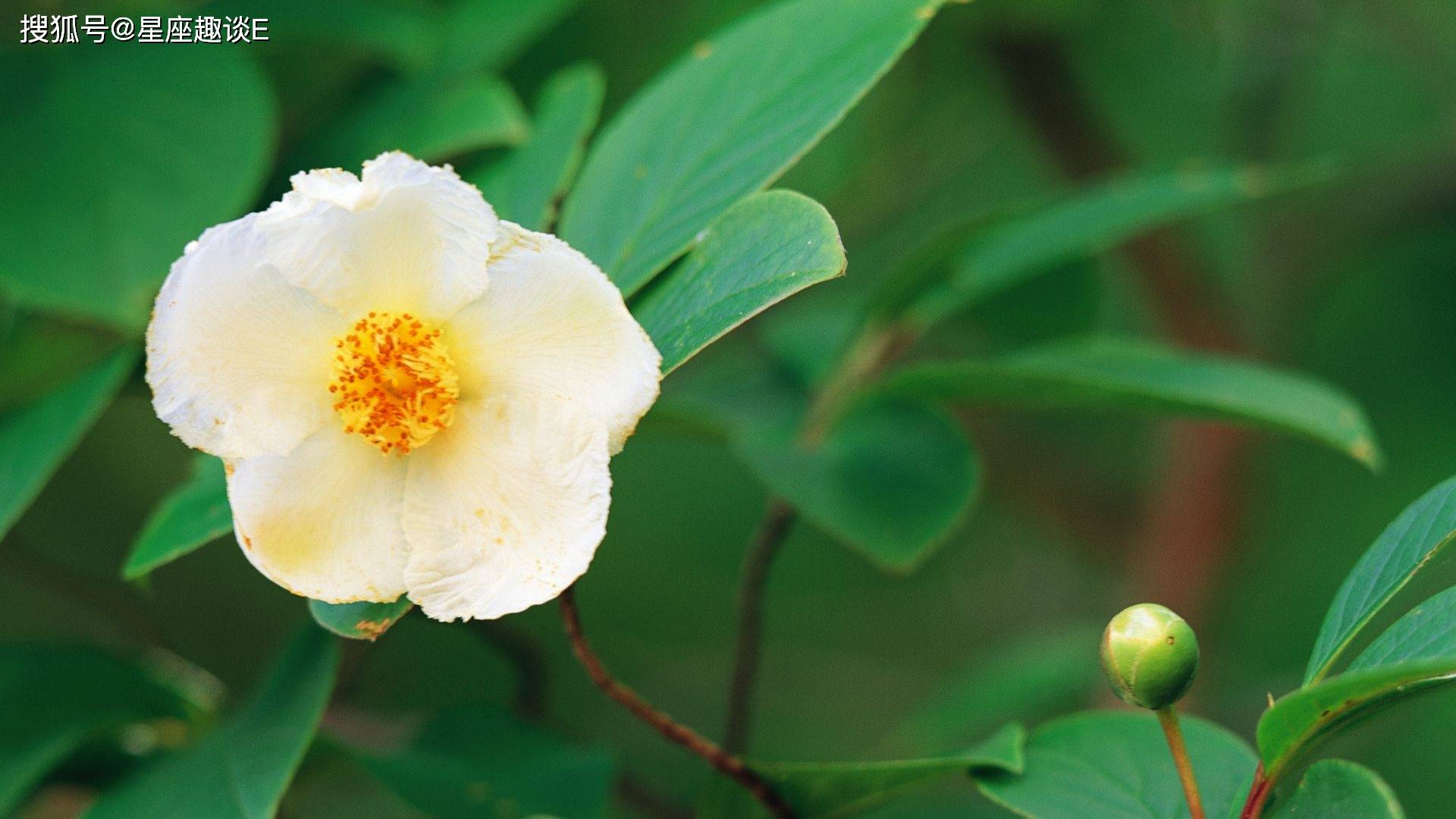 星空·综合体育:
10月26日星座运势:坚守原则 独立自主的四大星座(图2) 星空·综合体育:
10月26日星座运势:坚守原则 独立自主的四大星座(图2)