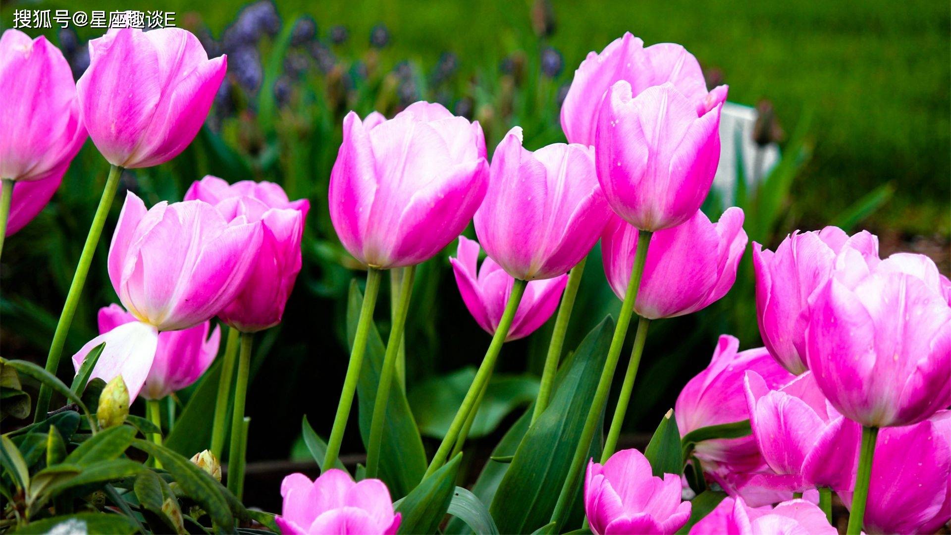 星空·综合体育:
10月26日星座运势:坚守原则 独立自主的四大星座(图4) 星空·综合体育:
10月26日星座运势:坚守原则 独立自主的四大星座(图4)