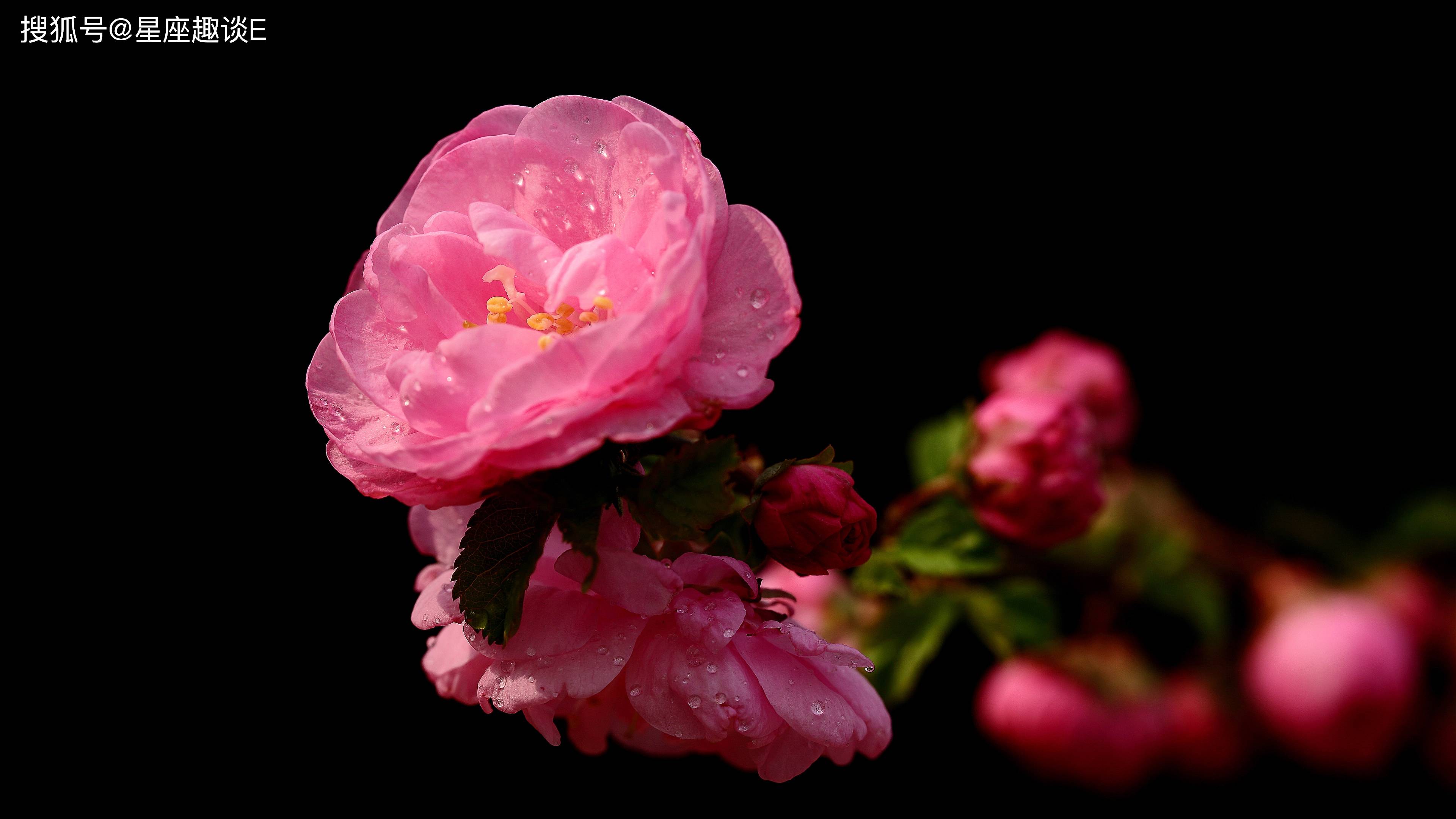 星空·综合体育:
10月26日星座运势:坚守原则 独立自主的四大星座(图5) 星空·综合体育:
10月26日星座运势:坚守原则 独立自主的四大星座(图5)