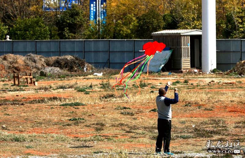 7月新番《舞动青春》人设图公开 舞者们整装以待“星空综合”(图2) 星空·综合体育