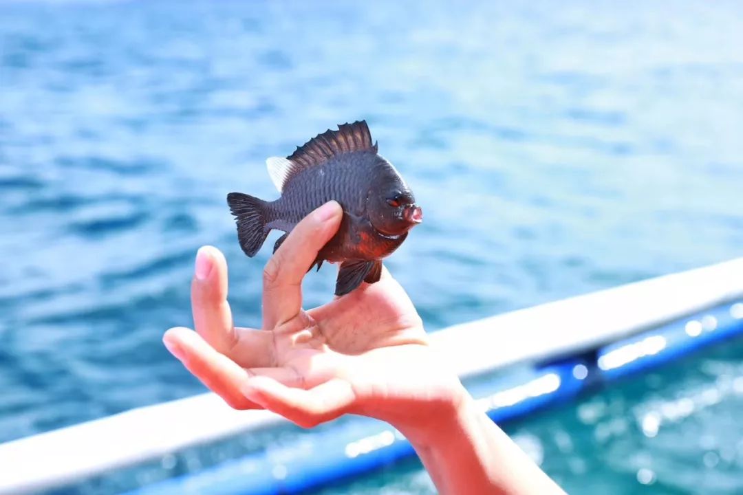 星空·综合体育