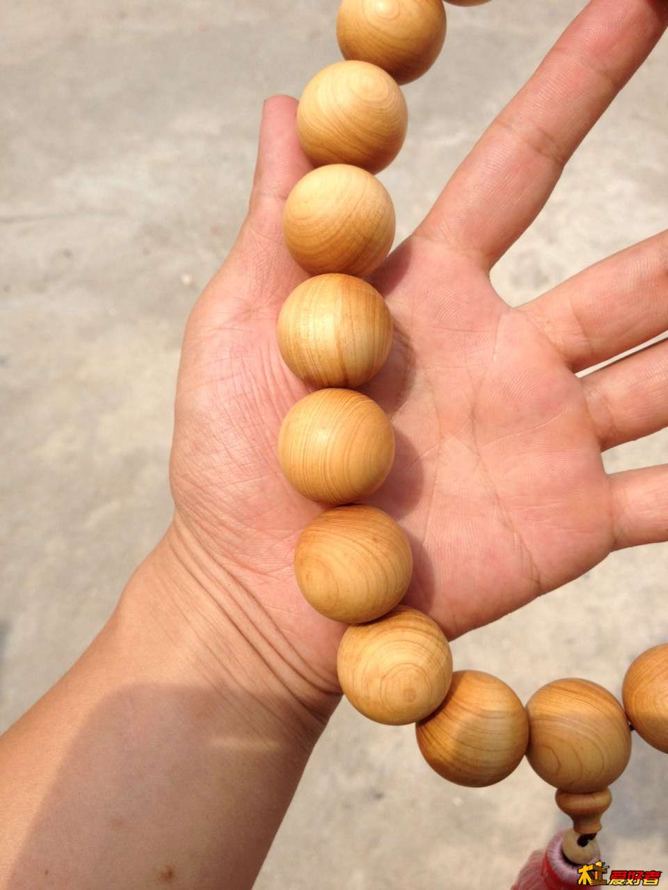 星空·综合体育