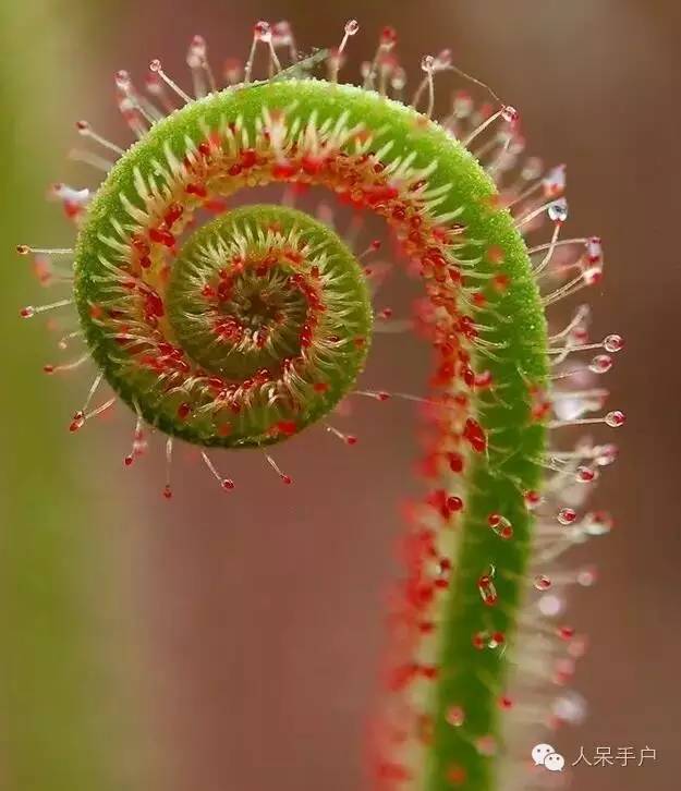 星空·综合体育