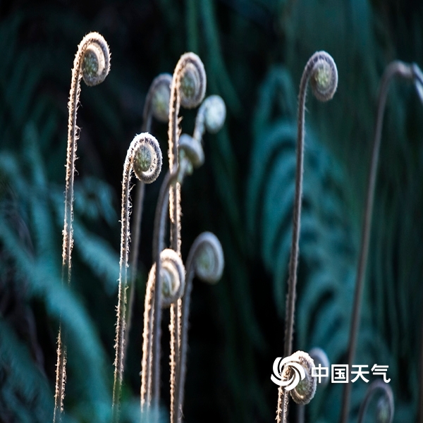 星空综合